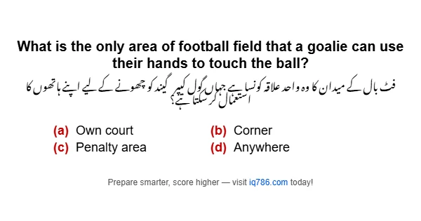 What is the only area of football field that a goalie can use their hands to touch the ball?