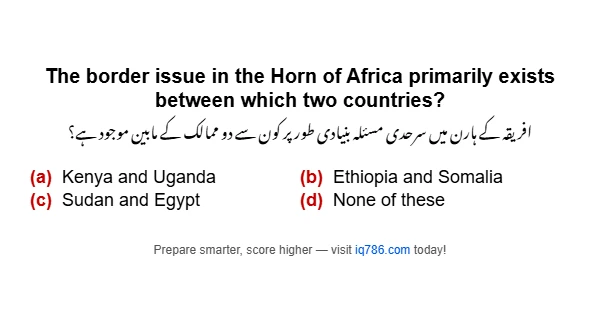 The border issue in the Horn of Africa primarily exists between which two countries?
