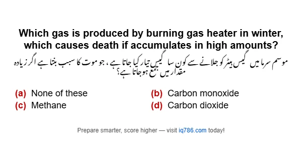 Which gas is produced by burning gas heater in winter, which causes death if accumulates in high amounts?