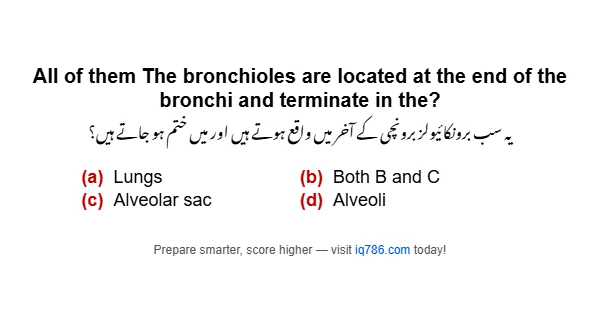 All of them The bronchioles are located at the end of the bronchi and terminate in the?