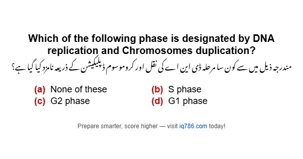 Which of the following phase is designated by DNA replication and Chromosomes duplication?