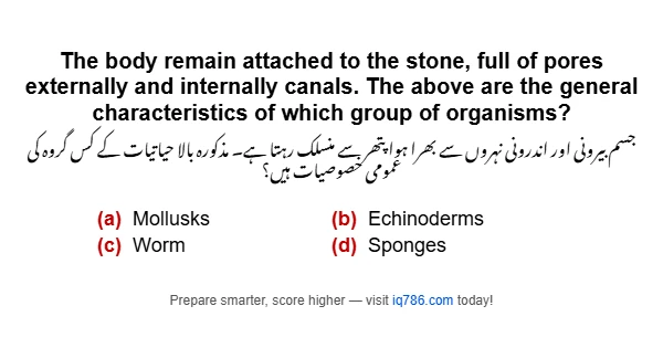 The body remain attached to the stone, full of pores externally and internally canals. The above are the general characteristics of which group of organisms?