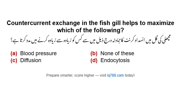 Countercurrent exchange in the fish gill helps to maximize which of the following?