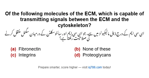 Of the following molecules of the ECM, which is capable of transmitting signals between the ECM and the cytoskeleton?