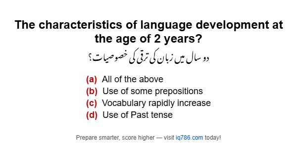 The characteristics of language development at the age of 2 years?